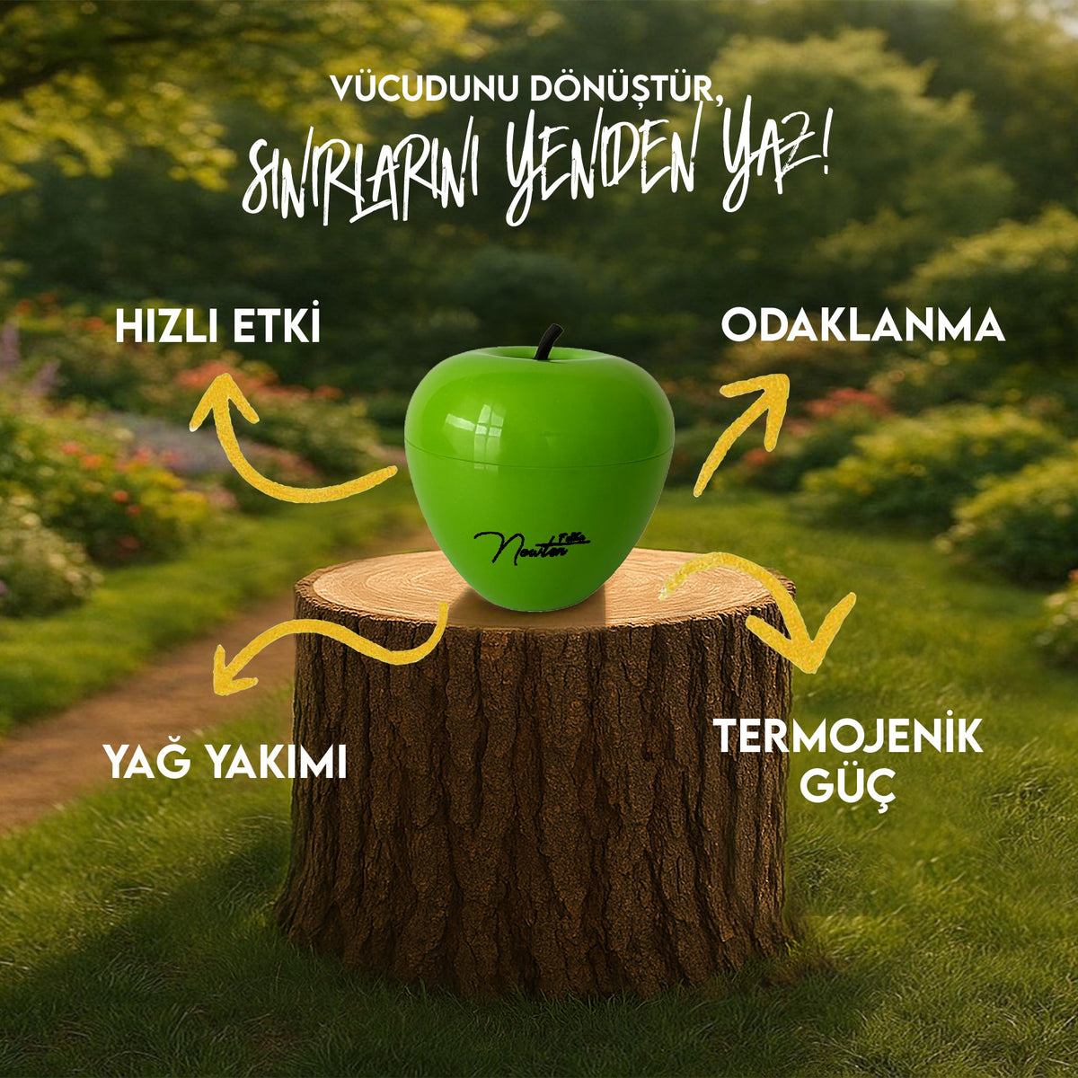 Newton FMXA - L-Carnitine: Yağ Yakımında Gücünüzü Artırın