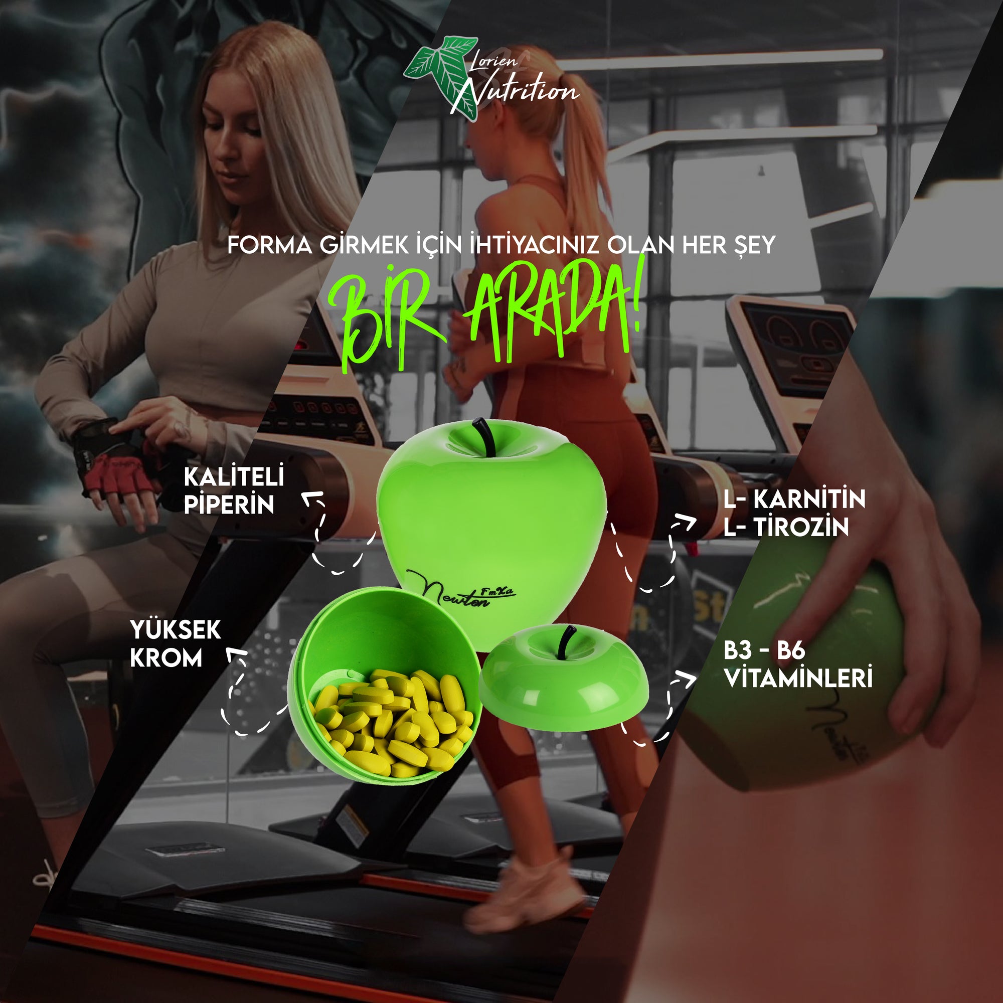 Newton FmXa L-Karnitin 100 Tablet