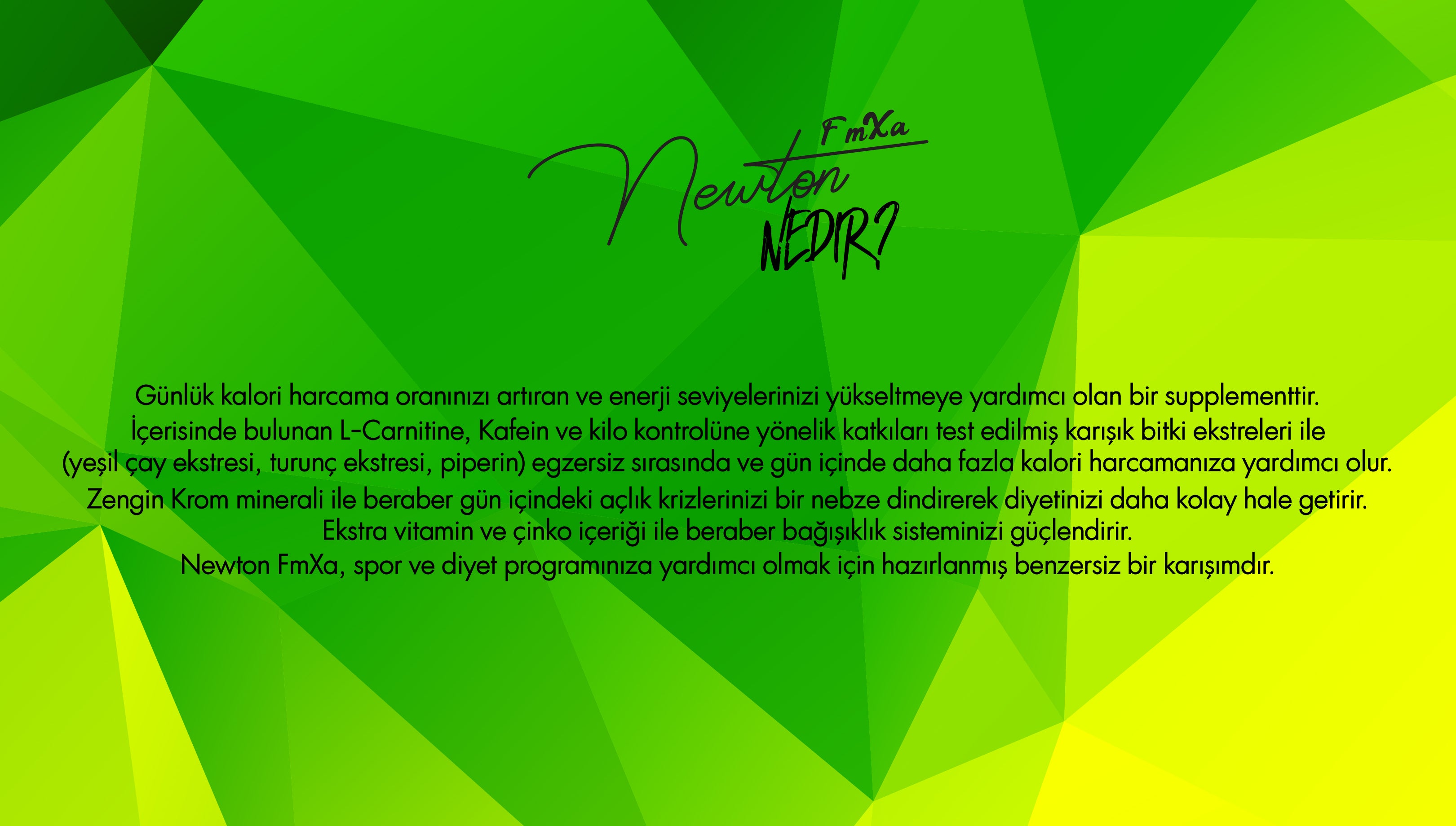Newton FmXa L-Karnitin 100 Tablet