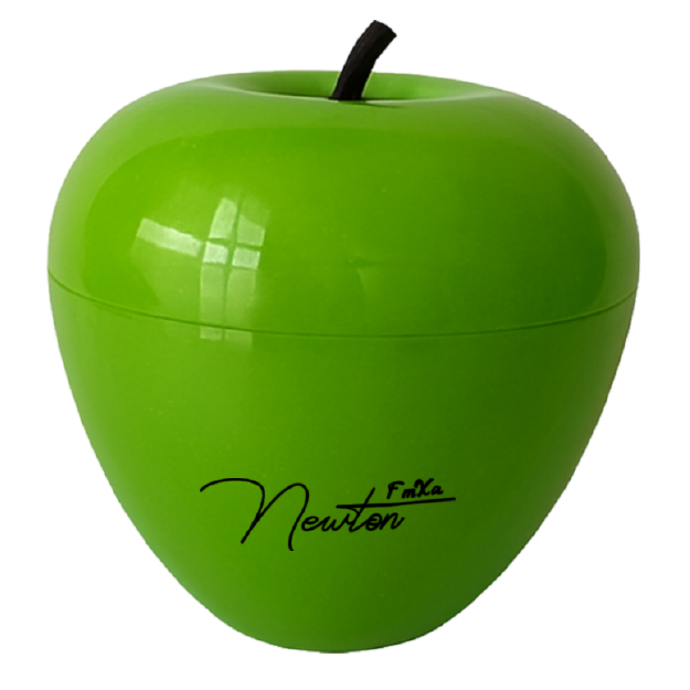 Newton FmXa L-Karnitin 100 Tablet