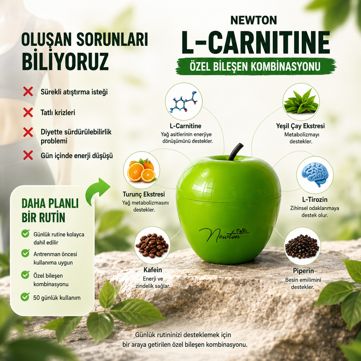 Newton L-Carnitine: İnatçı Yağlara ve Ödeme Son Veren Özel Formül