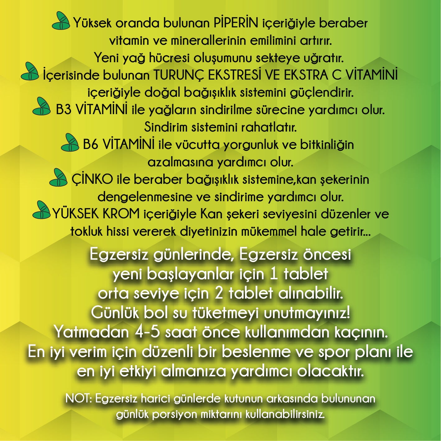 Newton FmXa L-Karnitin 100 Tablet