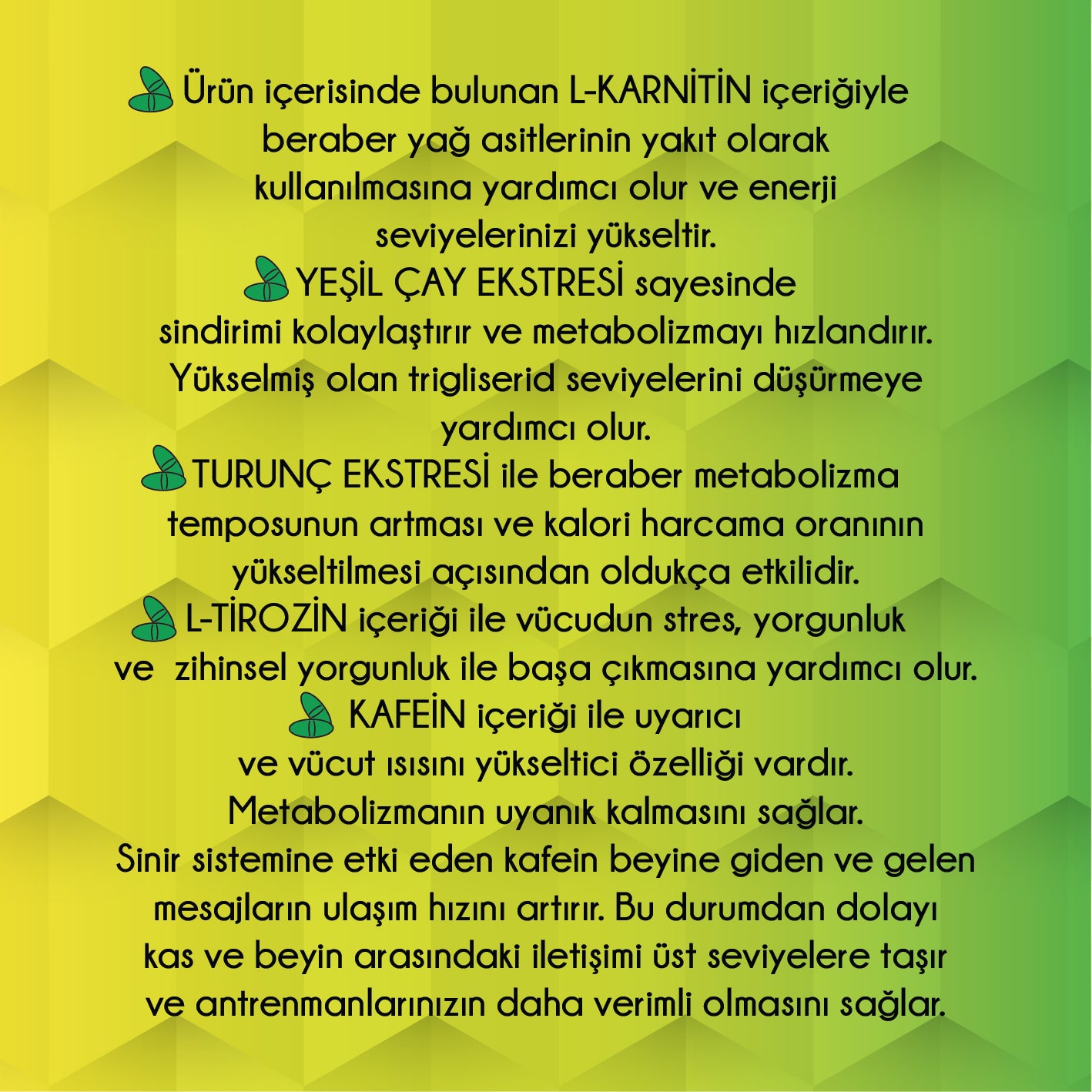 Newton FmXa L-Karnitin 100 Tablet