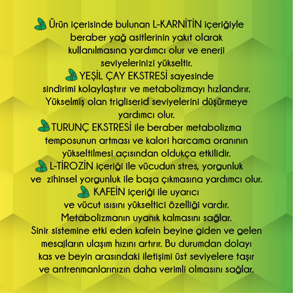 Newton L-Carnitine: İnatçı Yağlara ve Ödeme Son Veren Özel Formül